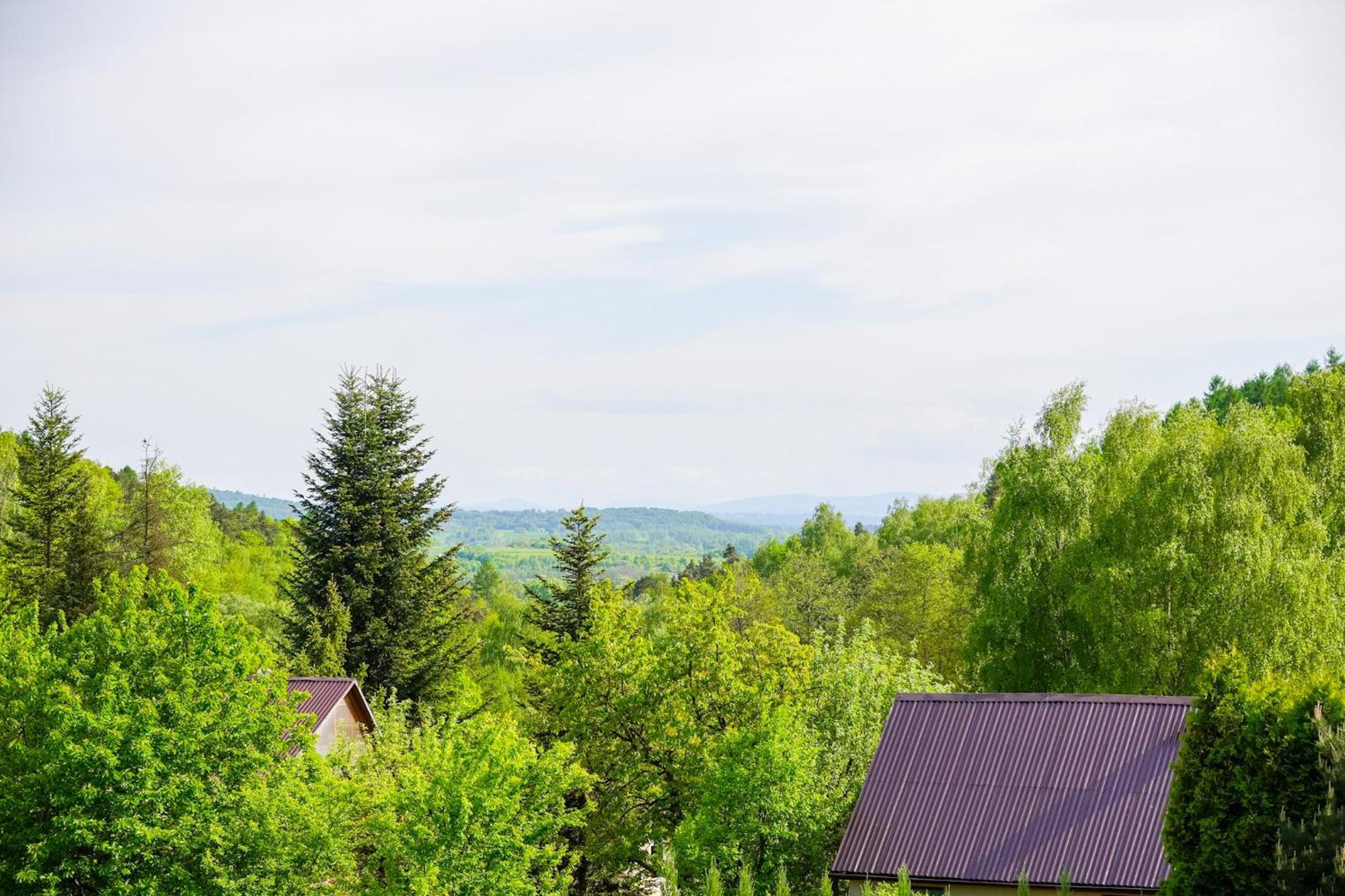 Dom Obok Lasu Pod Krakowem * Zabierzow